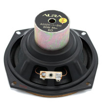 Elegant 5-inch poisonous speaker non-full range fever cobalt magnet vocal poison perfect match for amplifier AURA 5 25-inch