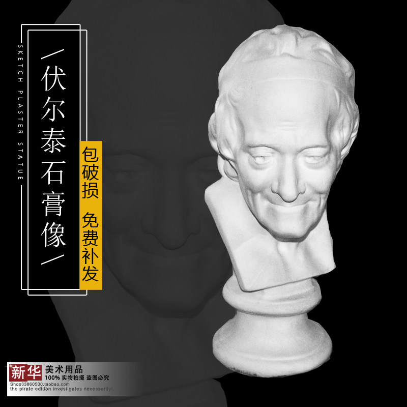Voltai plaster like a teaching aid mould sketch sketch for sketches of the art head manufacturer direct sales 