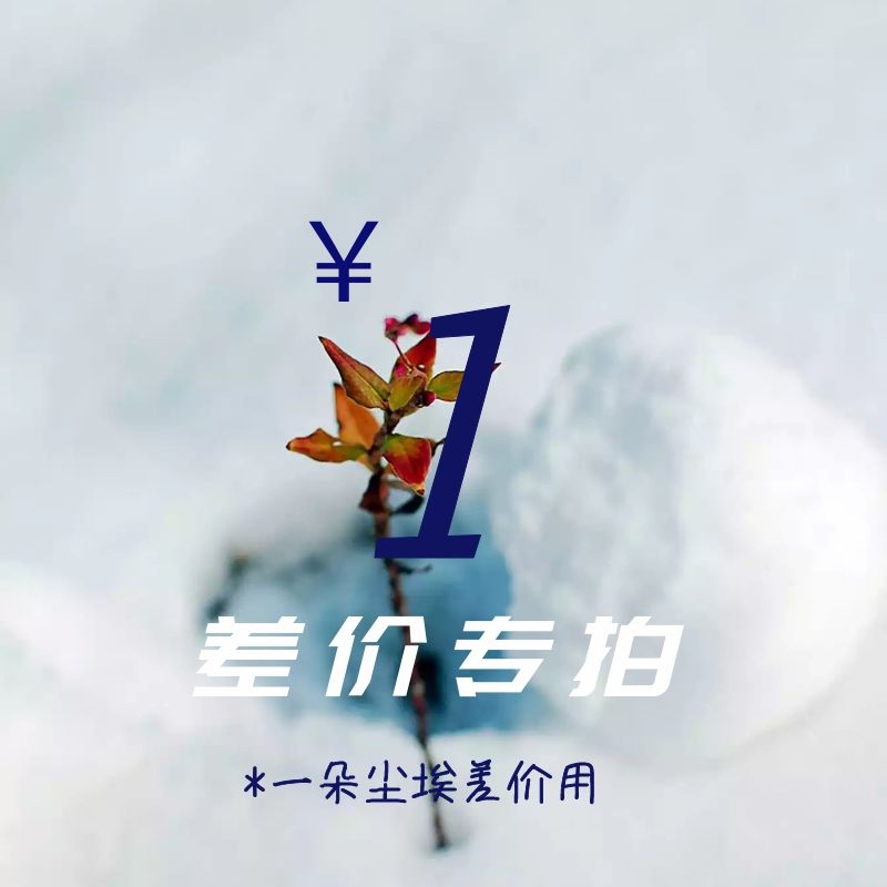 Custom options make up the difference How much is the difference? How much is the difference?