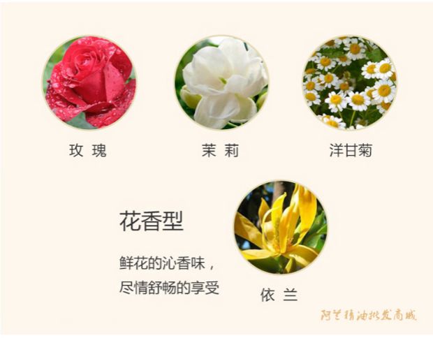 Tinh dầu hoa ngô 100ml tinh dầu đơn phương chăm sóc mắt đến quầng thâm làm sạch da bằng dầu thơm - Tinh dầu điều trị tinh dầu hoa ngũ sắc