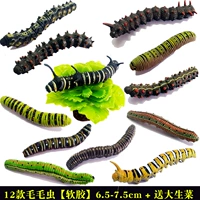 12 Caterpillars [мягкий клей] подарок большого салата