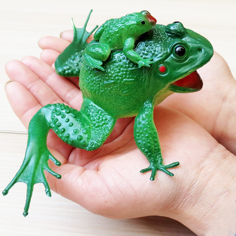 Simulation of large frog animal model soft sound mother and frog tree frog toad toad for static children's toy