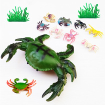 Simulation of marine animal model mini crab soft crab crab crab cognitive toy fittings for children