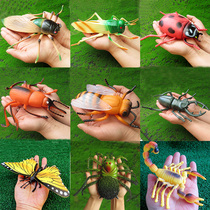 Extremely sound soft rubber simulation insect model spider ladybug bee grasshopper beetle bee childrens toys