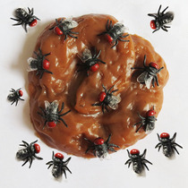 Simulation of small fly insect model scary disgusting tricky animal props tapestry fake fly insect toys