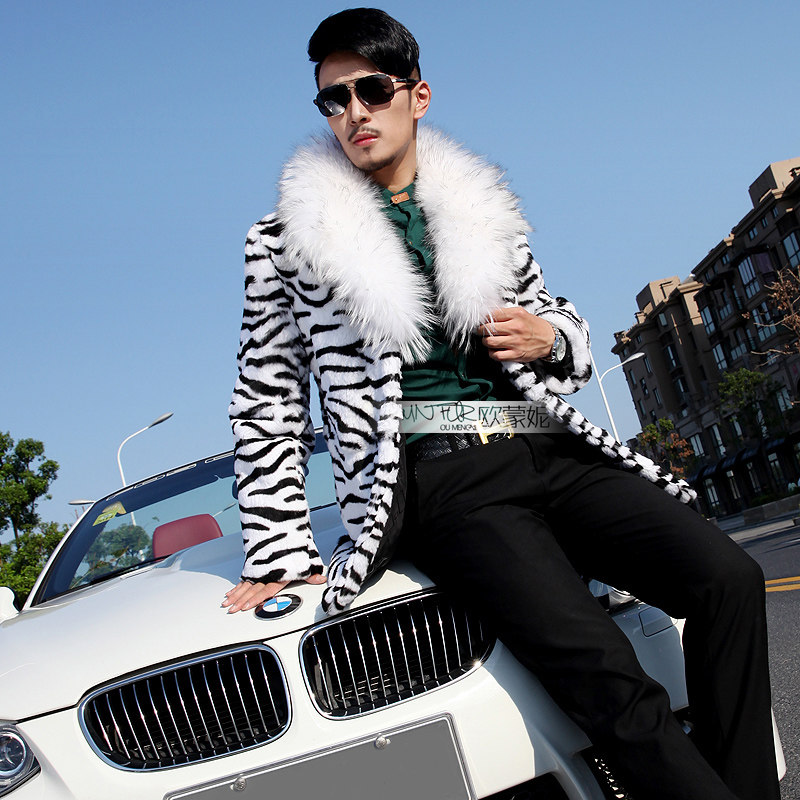 zebra fur coat