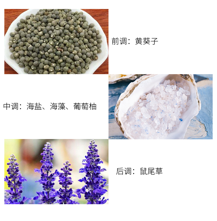 Jo Malone Zuma 珑 马 马 小兰 鼠 海 Tiếng Anh Pear Blue Bell 30ml suddenly madame glamour 50ml
