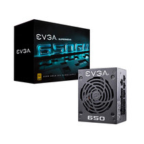 EVGA 650GM 650W full-mode SFX all-day ITX small power mute seven-year warranty GOLD