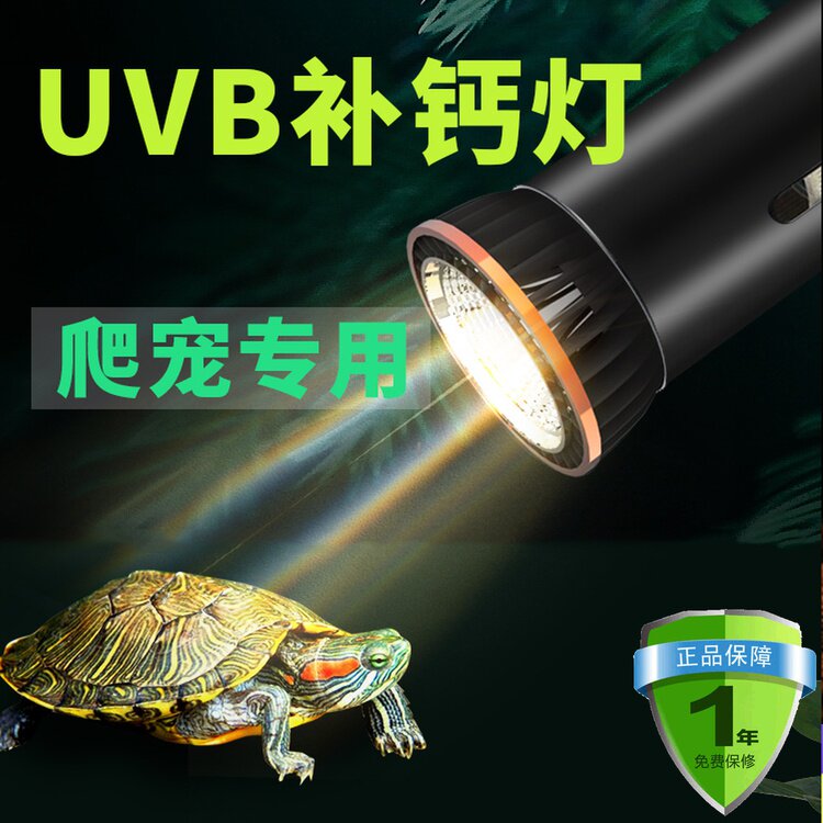 UVB energy-saving lamp solar lamp tortoise calcium supplement succulent plant chameleon lamp mane lion lizard reptile nomo10 0