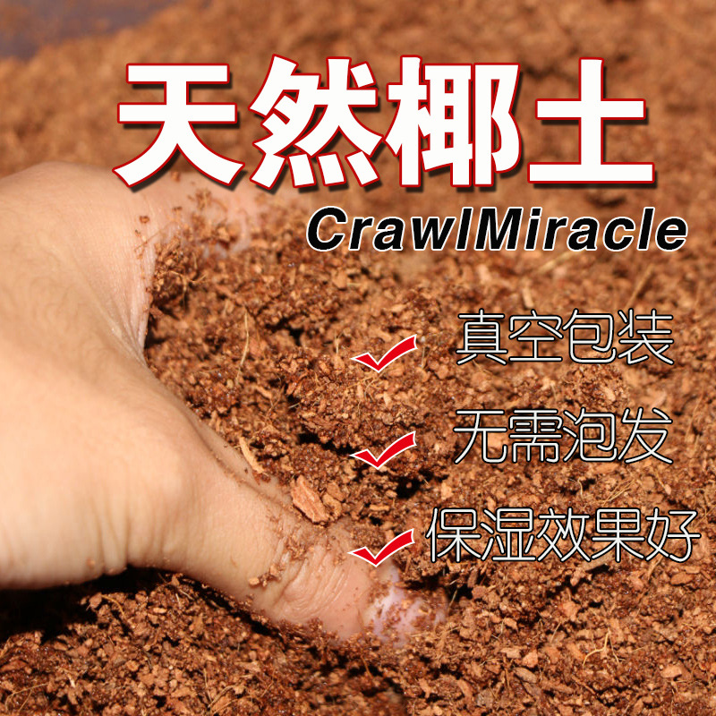 Sterile tortoise hibernation-free bubble water reptile coconut clay brick tortoise cushion material snail spider horned frog yellow edge moss watering can