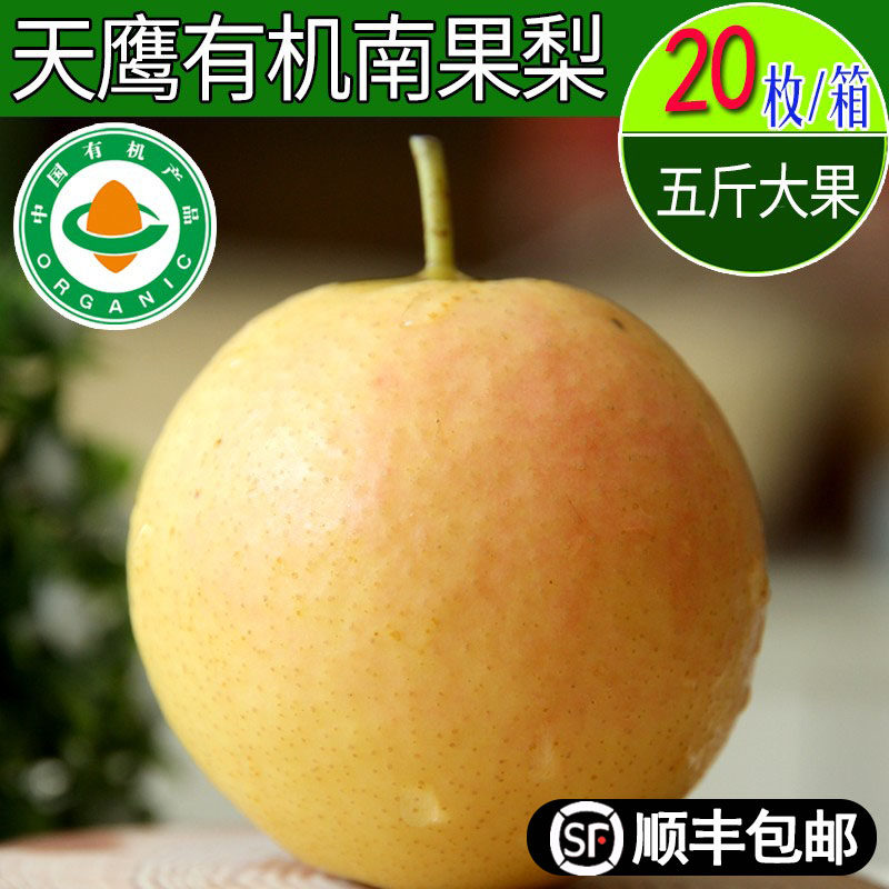 Tianying organic Nanguo pear Haicheng Datun Nanguo pear fresh 5 catties large fruit box Anshan specialty thin skin and more juice