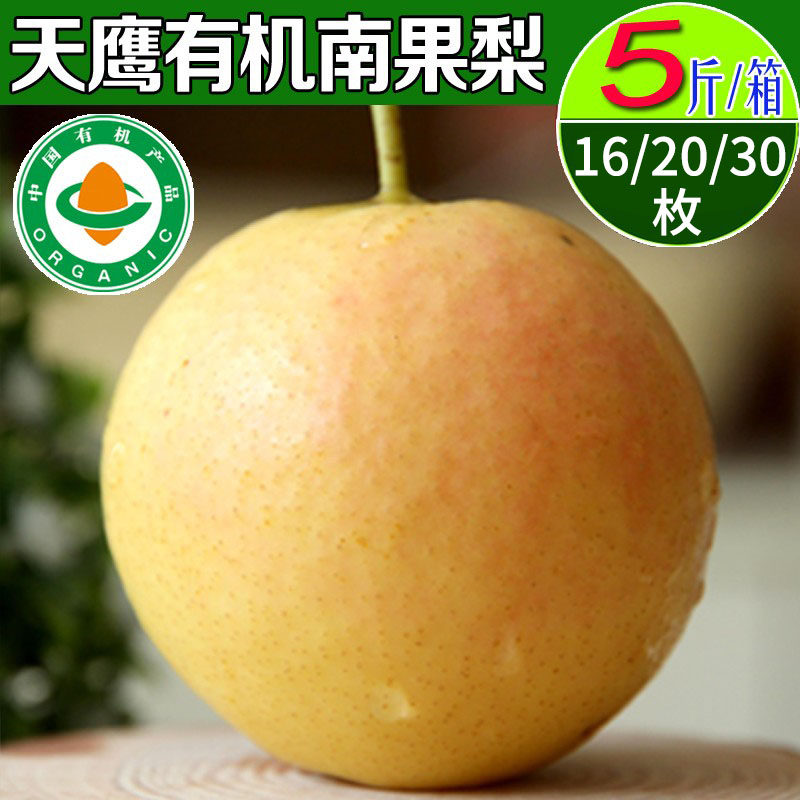 Tianying Organic Nanguo Pear Haicheng Nanguo Pear Anshan Specialty Seasonal Fresh Fruit Thin Skin Juicy 5 Jin Box