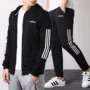 Adidas nam vest 2019 xuân mới thể thao áo khoác đan áo khoác thoáng khí quần ấm áp - Thể thao sau bộ quần áo thể thao nam mùa đông