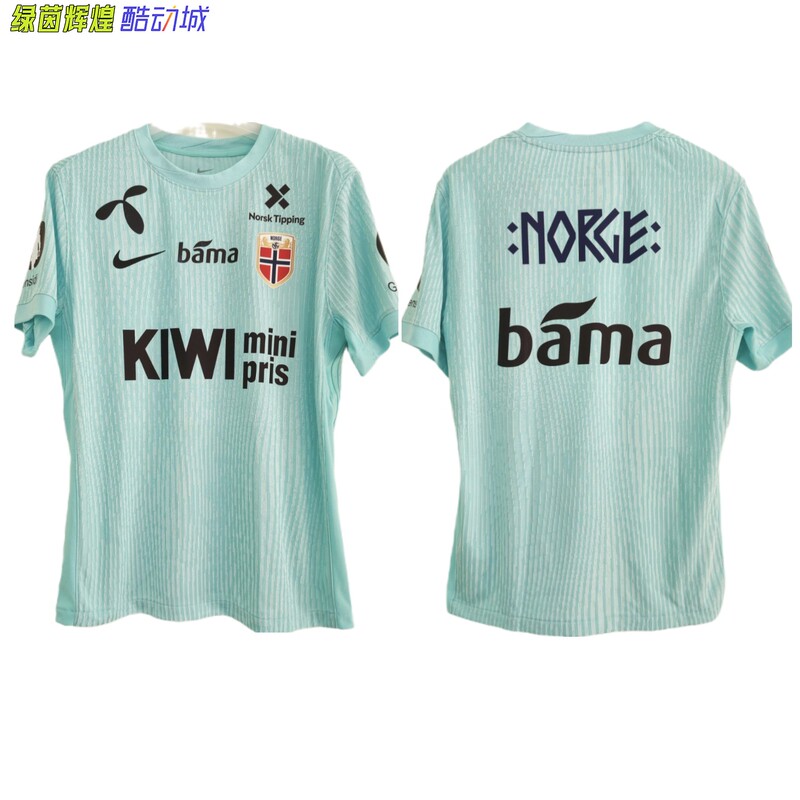 Ir8428 Nike High-End Customized DIY Norwegian National Team Adv Short-Sleeved Jersey Football Game Training Uniform
