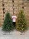 [High-End] Pure Pe Christmas Tree, Pe Tree with Dense Needles, Realistic Bare Tree, 2m 1 for Home Use, 2.4 Luxury 1.5m