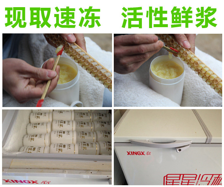 Cinghai Pulp Compace Copy.jpg