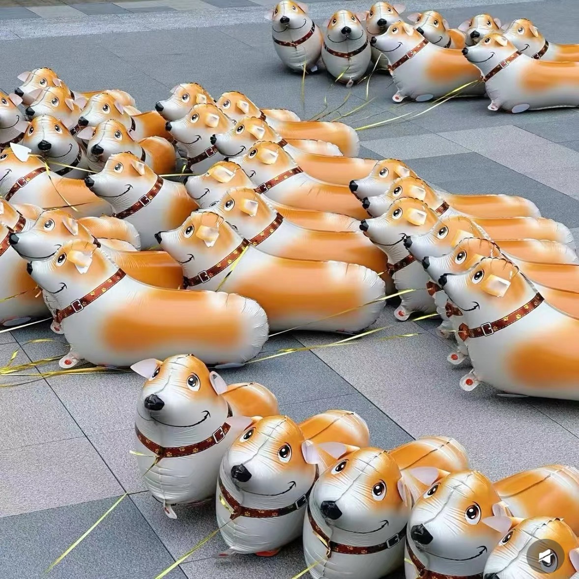 送牵绳柯基气球卡通走路动物金毛散步牵绳遛狗神器摆地摊小玩具:功能与设计解析