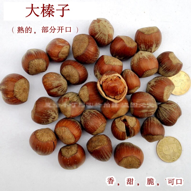 Northeast specialty big hazelnut open hazelnut new original roasted seeds and seeds 250g full 3 pieces