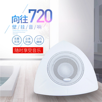 HOPE yearning for 720 triangular wall-mounted speaker speakers without ceiling can be used for high-fidelity surround sound quality can be hung on the wall