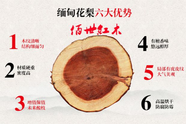 世 红木 越南 黄花梨 条案 玄 台 台 台 台 圆圆 台 画画 红木 家具 家具 - Bàn / Bàn bàn ngồi bệt gấp gọn