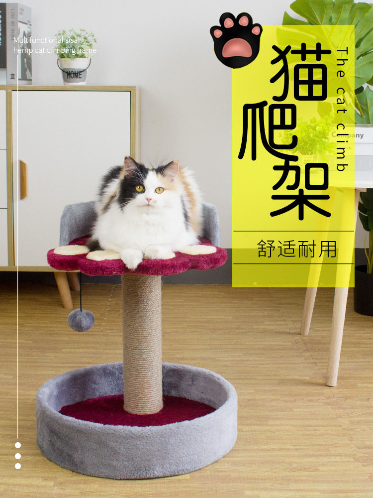 Cat climbing frame, cat litter, cat tree, small sisal cat scratching board column, solid wood cat jumping platform, kitten cat toy supplies