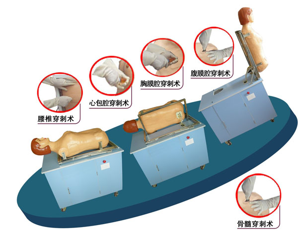 全自动多种穿刺叩诊电脑训练模型