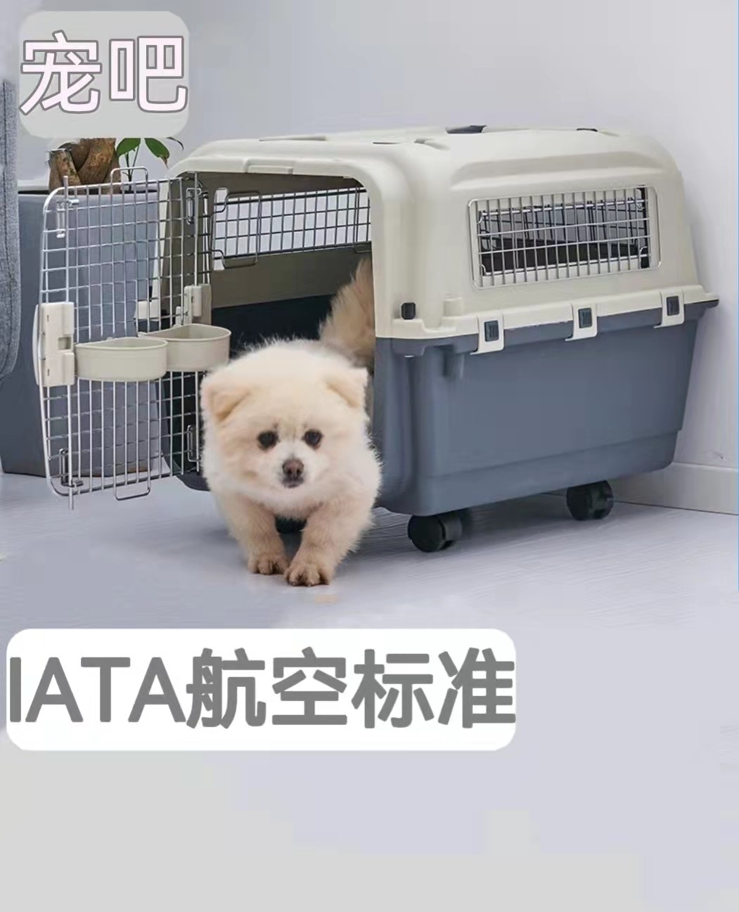 International standard pet air box cat and dog large and small dog suitcase go out cat cage plane consignment air box