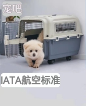 International Standard Pet Aviation Box Cat Dog Large Small Dog Suitcase Out of Cat Cage Plane Consignment Air box