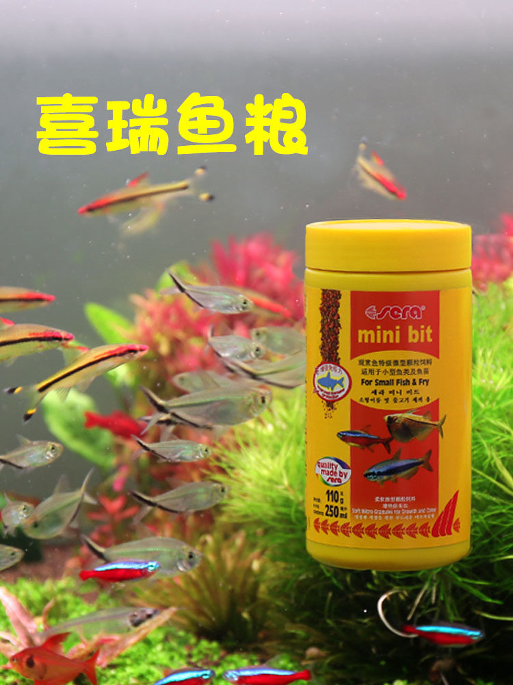 Peacock feed fish food small grain traffic light small fish grain pingfish goldfish sight tropical fish food common type