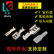 6 3 4 8 2 8 Reed small switch insert 250 spring with transparent sheath 187 terminal block 110 plug