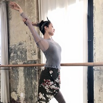 Dance Republic Popular recommendation Ballet classical dance Long sleeve T-shirt practice top Semi-transparent thin soft super elastic flash