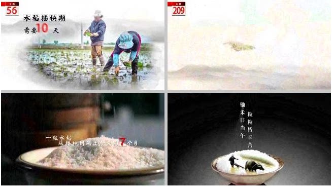 大气中国风水墨风格珍惜粮食农业相关公益广告栏目宣传视频ae模板