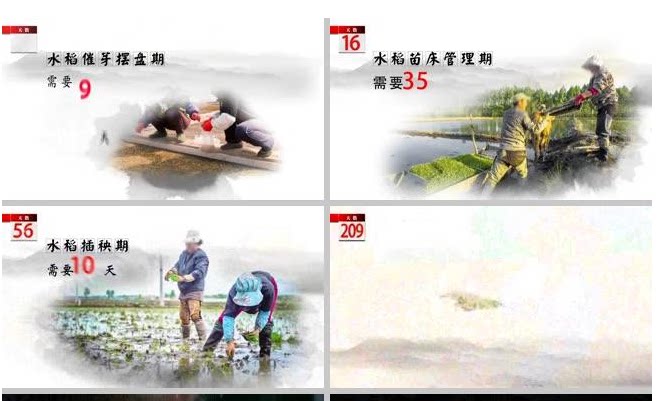 大气中国风水墨风格珍惜粮食农业相关公益广告栏目宣传视频ae模板