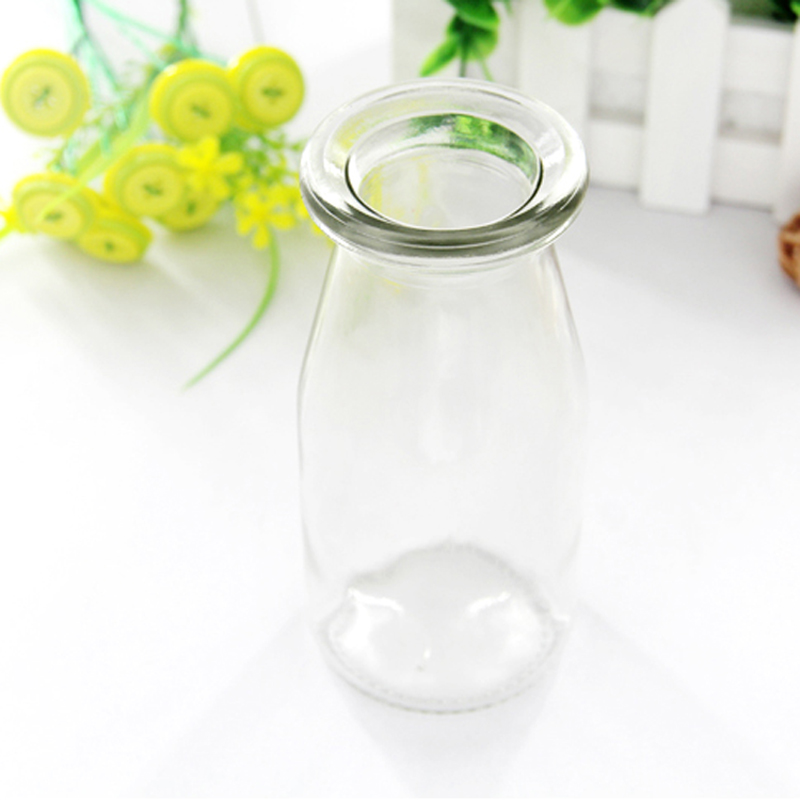 Creative Handcrafted Vase DIY Flower Arrangement Glass Bottle Tabletop Pendulum Pieces Transparent Glass Vases Handmade Artworks