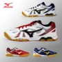 Giày bóng bàn Mizuno giày nam Giày thể thao nữ mizuno / wave81GA151509 / 14 xác thực giày the thao nữ hàn quốc