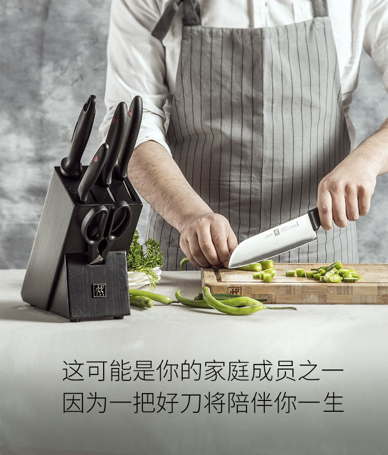 德国 双立人 刀具8件套 图11