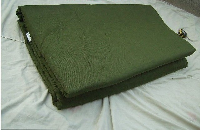 Pure single - man mattress mattress with green wool mattress