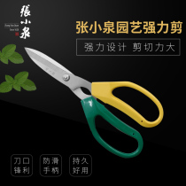 Zhang Koizumi Scissors Home Powerful Cut Gardening Cut Branches Leaf Scissors Flower Shop Trim Flower Garden Cut Kitchen Cut