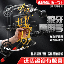 Archer Fang Compound Bow New Dual-Purpose Steel Ball Compound Bow Small Archery Hunting Competition Special Villain Upgrade