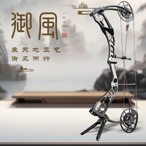 Yufeng Archery Compound Bow and High Arrow Speed ​​Pulley Shooting Accuracy Competitive Hunting Professional Outdoor Non-Dual-Use Competition Bow