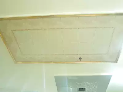 Kitchen powder room high-end integrated ceiling oil-resistant aluminum gusset top-selling panel double-layer duplex top