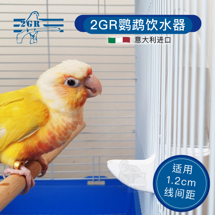 Bird drinking fountain automatic feeder feeding water drinking fountain (1 2cm line spacing is applicable) imported 2GR
