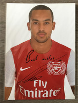 Walcott autographed official photo Arsenal 7-inch English Premier League micro-blemish