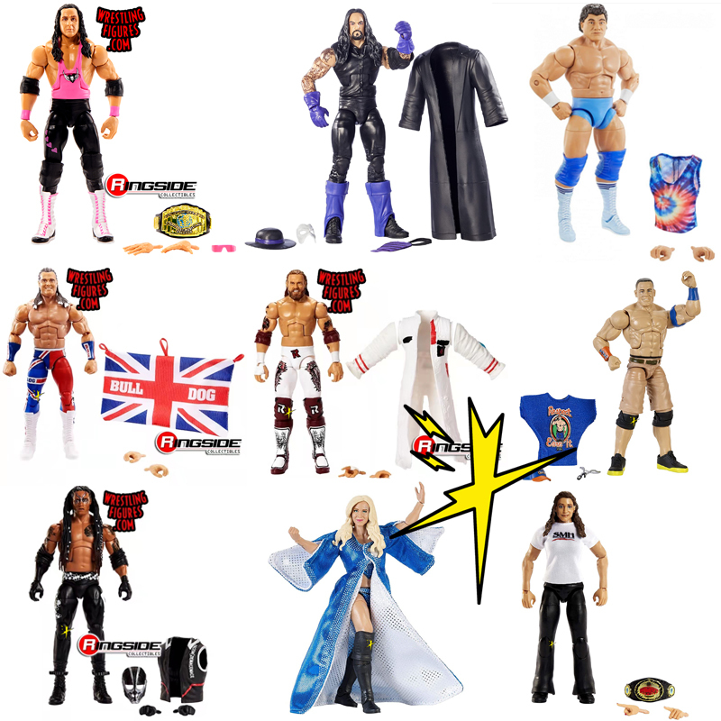 Mattel Wwe Action Figure Wrestler Da Hardy Roman Seth Rollins Dx Paige Mattel Wwe Action Figure Wrestler Da Hardy Roman Seth Rollins Dx Paige