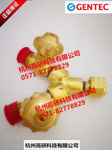 Jierui Y-type connection joint Gas joint pressure reducer output dual joint globe valve 112C
