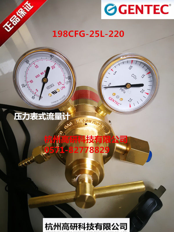 Tesharp 198CFG-25L-220 pressure meter type flow meter carbon dioxide heating pressure reducer steel bottle pressure reducing valve