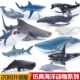 Children's Toys Simulated Marine Animals, Undersea Creature Models, Great White Sharks, Dolphins, Sperm Whales, Orcas, Cake Decorations