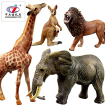 Zhongjie wild animal model simulation animal doll childrens ornaments cognitive toy lion Tiger elephant bear