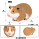 Children's Toys Simulated Real Wild Animal Model Rat Big Flying Squirrel Guinea Pig Marmot Cognitive Trick Ornaments