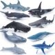 Children's Toys Simulated Marine Animals, Undersea Creature Models, Great White Sharks, Dolphins, Sperm Whales, Orcas, Cake Decorations